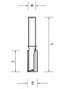 PPS06