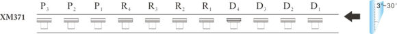 371A1-580x50.jpg